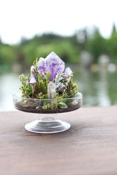 a glass bowl filled with plants and rocks on top of a wooden table next to water