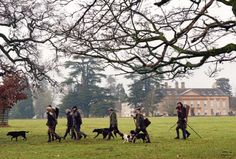 a group of people walking their dogs in the park