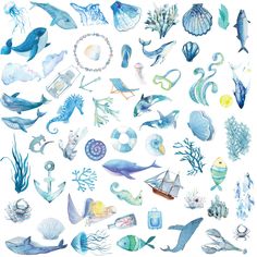 an image of marine life in watercolor