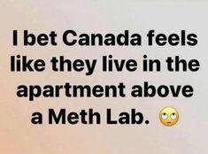 Canada Memes, Twisted Humor, Funny Funny, Sarcastic Humor, Sarcastic Quotes, Funny Signs, Bones Funny, Great Quotes, Want You