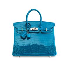 Bag Closet, Crocodile Bags, Favorite Handbags, Birkin 25