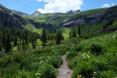 a trail in the mountains with trees and flowers on both sides leading to a valley