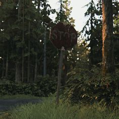 a red stop sign sitting on the side of a road next to tall grass and trees