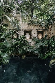 an outdoor swimming pool surrounded by greenery and potted plants with lights on the wall