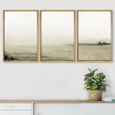 three paintings hanging on the wall above a white dresser with a potted plant next to it