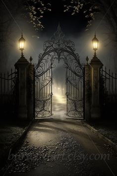 an open gate leading into a dark forest at night