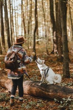 a person in the woods with a dog on a leash next to a fallen tree