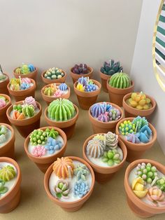 there are many small clay pots with different types of plants in them