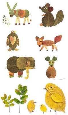 an image of different animals and plants on a white background