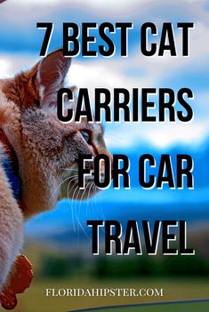 a cat with the words 7 best cat carriers for car travel on it's back