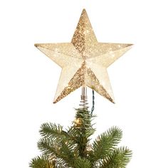 a christmas tree topper with a star on it