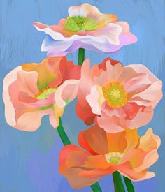 three colorful flowers on a blue background