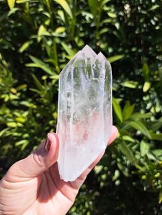 a person holding up a large piece of clear quartz in front of some bushes and trees