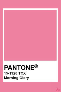 pantone's morning glory color is shown in pink and white, as well as the