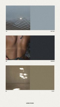 four different color palettes with the same image in each one, including blue and brown