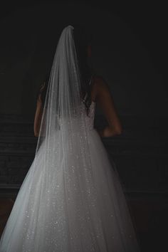 the back of a bride's wedding dress with sparkling sequins on it