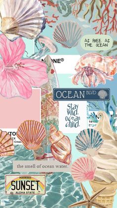 an ocean themed collage with seashells and other items