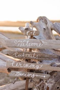 a wooden sign sitting on top of a pile of driftwood