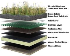 an image of different types of plants growing in the ground with their names on it