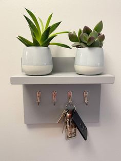 two potted plants are sitting on a shelf with keys