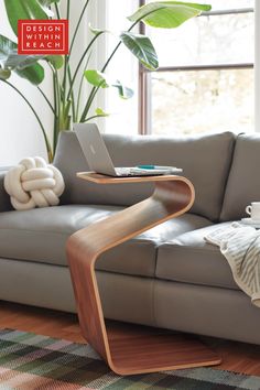 a living room with a couch, coffee table and potted plant