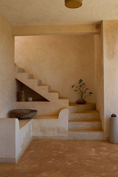 a room with some stairs and a potted plant