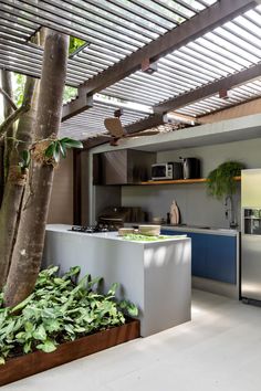 an outdoor kitchen with stainless steel appliances and plants