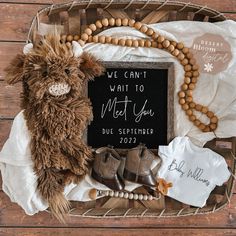 a teddy bear sitting on top of a wooden floor next to other items in a basket