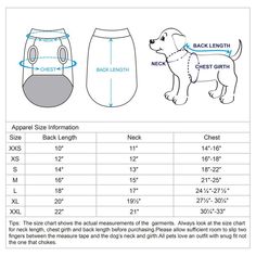 the size and measurements for a dog's shorts