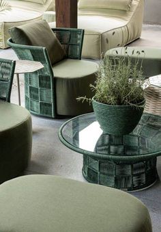 some chairs and tables with plants on them in a room filled with couches and pillows