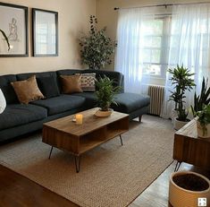 a living room filled with furniture and plants on top of a rug in front of a window