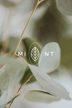 the logo for mintt is shown on top of some green leafy branches in front of a blurry background