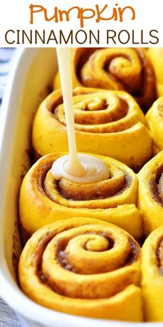 pumpkin cinnamon rolls in a white baking dish