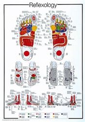 Reflexology Poster Massage Anatomy, Reflexology Foot Chart, Foot Anatomy, Anatomy Poster, Educational Poster, Healing Touch