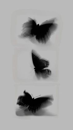 three black and white images of butterflies flying in the air with their wings spread out