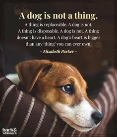 a dog is not a thing