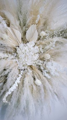 an arrangement of feathers and flowers on a white background