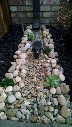 there is a small garden with rocks and plants