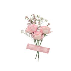 some pink roses are in a vase on a white background with a ribbon around it