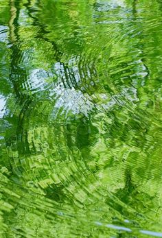 the reflection of trees in the water is very green and blue with white clouds above it