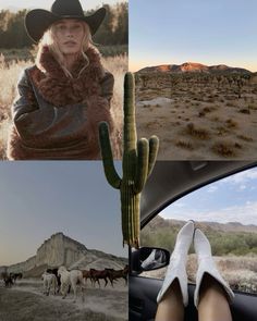 a woman sitting in a car next to a cactus and other desert scene with horses