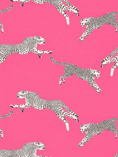 a pink background with black and white cheetah on the same color as the wallpaper