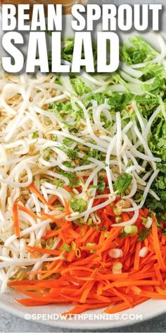 bean sprout salad on a white plate with carrots and celery