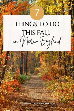 a path in the woods with text overlay that reads 7 things to do this fall in new england