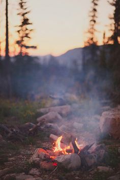 Camping vibes Summer Campfire, Bahasa Jepun, Camping Life, Foodie Travel, Go Camping, Outdoor Life, Camping Hacks, Adventure Awaits, Bushcraft