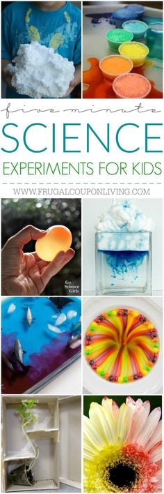 science experiments for kids that are fun to do with the kids and they will learn how to