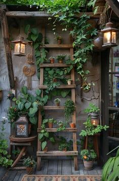 a wooden ladder with plants growing on it