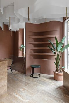 an empty room with pink walls and wooden flooring is pictured in this image, there are two chairs next to the plant