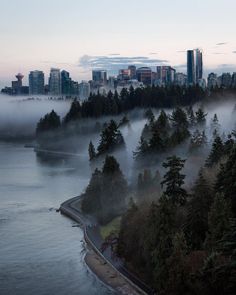 the city is surrounded by fog and trees