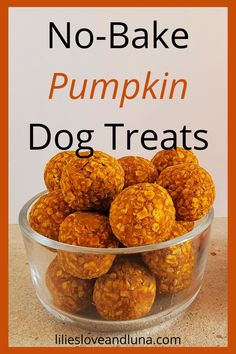 no - bake pumpkin dog treats in a glass bowl with the title above it